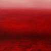 红色的宁静，120x100 cm.2010
